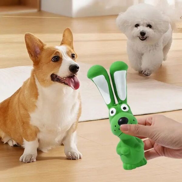 Latex Squeaky Toys  For Inside Dog And Pet - Image 4