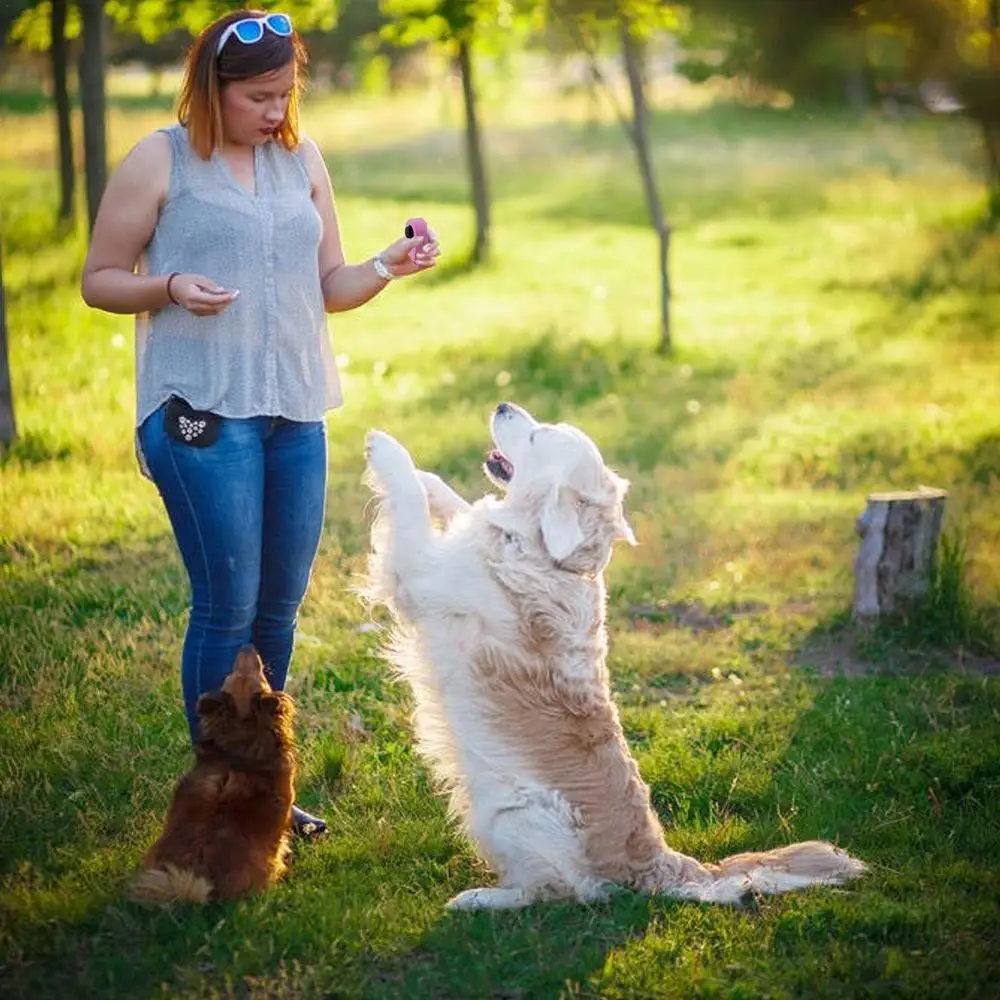 Dog Training Clickers Pet Clicker For Dog Training Interactive Training Tools For Cat Dog Horse To Train Stop Barking Sitting