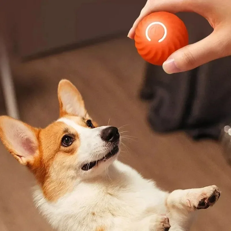 Automatic Moving Bounce Rolling Ball Dog Toy USB Smarts Puppy Interactive Dog Chew Toy Ball Dogs Accessories Pet Toys Home Cats