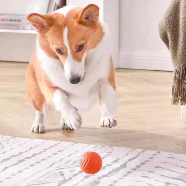 Pet Toy Ball Automatic Moving Dog Toy Ball Smart USB Jumping Rotating Interactive Dog Chew Toy Ball for Puppy Ball Toy - Image 5