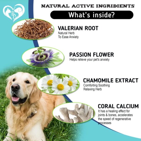 Hemp Calming Chews for Dogs Puppy Pet Separation Anxiety Relief Treats and Calm Aggressive Behavior Melatonin Anti Stress Treat - Image 4