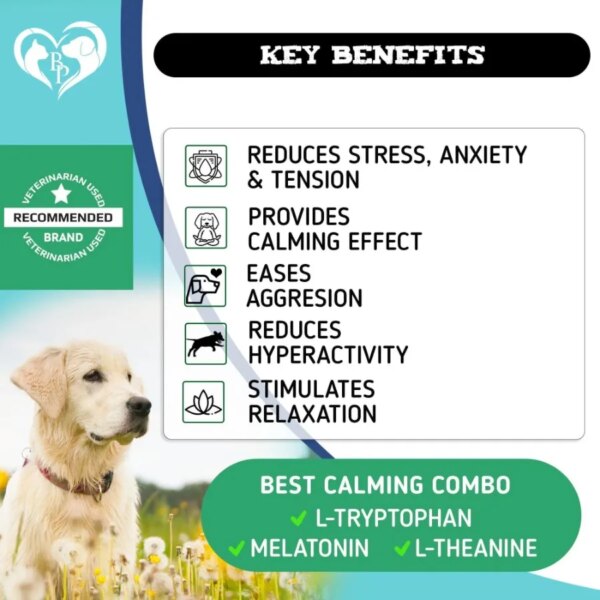 Hemp Calming Chews for Dogs Puppy Pet Separation Anxiety Relief Treats and Calm Aggressive Behavior Melatonin Anti Stress Treat - Image 2