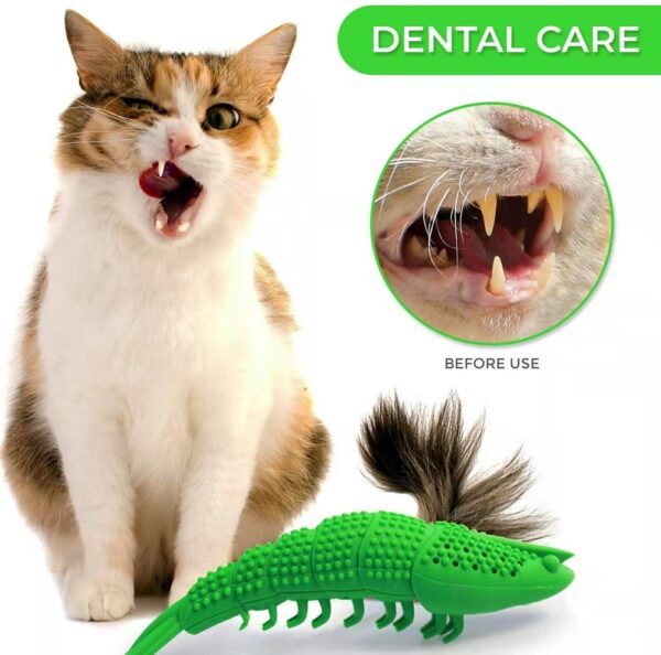 Catnip Toys For Cats 360 Degree Teeth Cleaning - Image 6